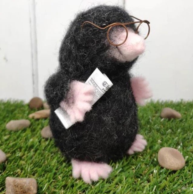 Mr Mole Needle Felting Kit by the Crafty Kit Company