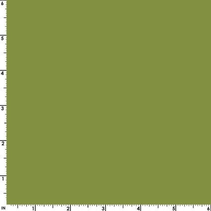Kimberbell Solids Encore in Prickly Pear by Maywood Studio, continuous cuts of Quilter's Cotton Fabric