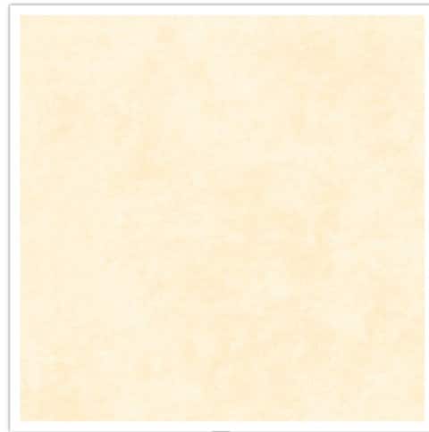 Shadow Play in Antique Cream by Maywood Studio continuous cuts of Quilter's Cotton Fabric