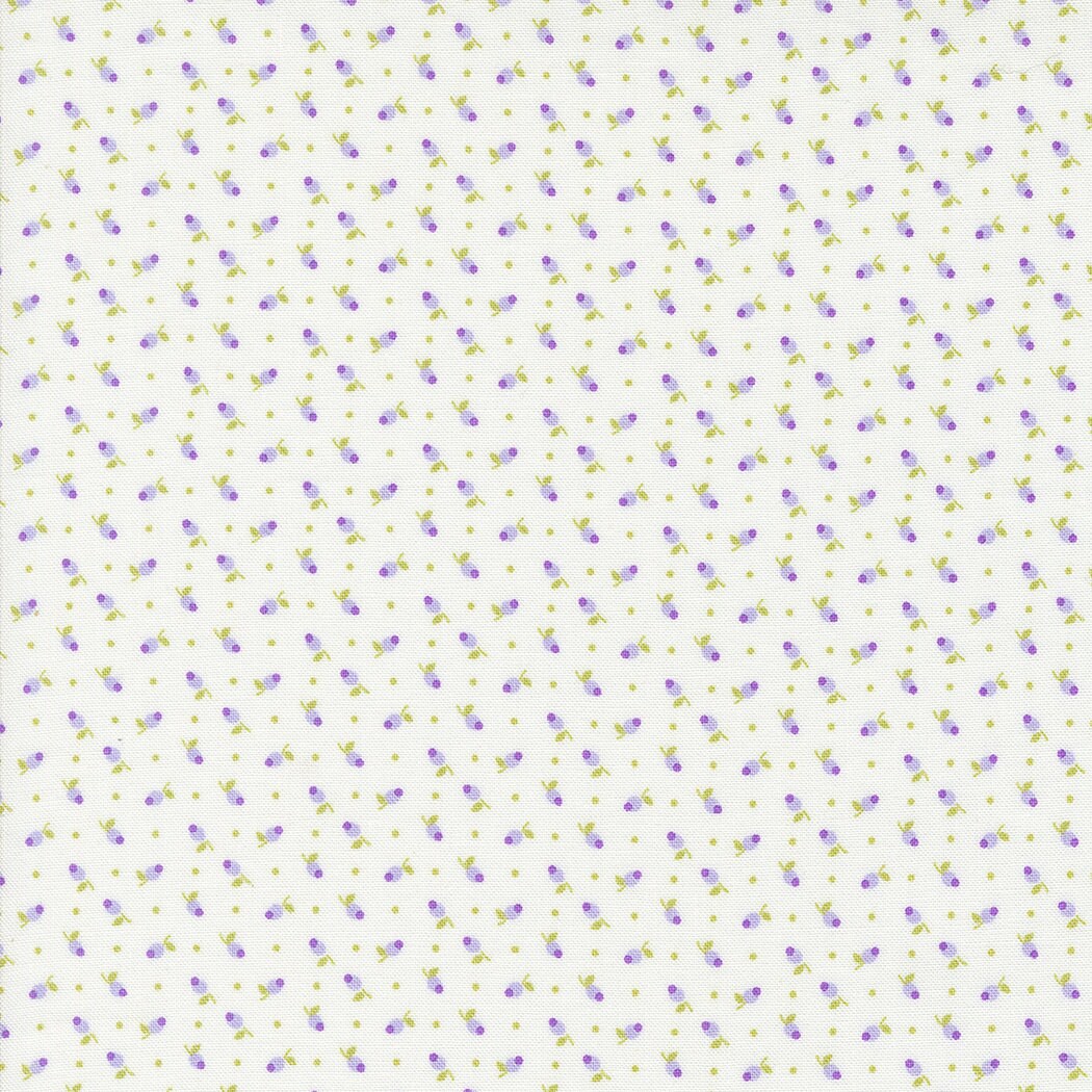 Georgia Quilter's Cotton Layer Cake 42 piece collection of 10 inch squares by Brenda Riddle Designs for Moda