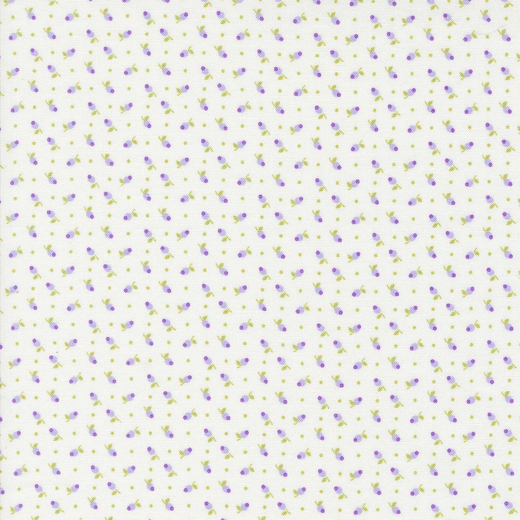 Georgia Quilter's Cotton Layer Cake 42 piece collection of 10 inch squares by Brenda Riddle Designs for Moda