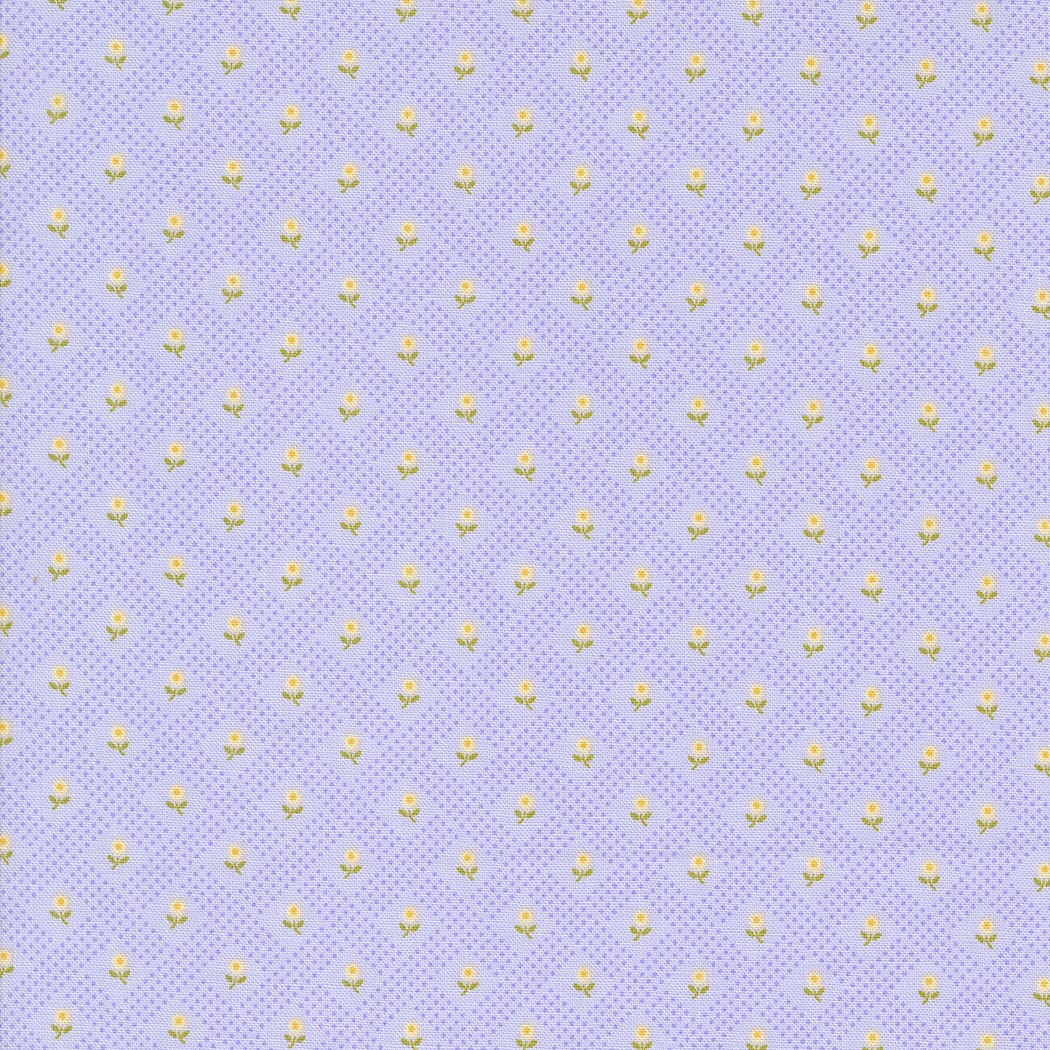 Georgia Quilter's Cotton Layer Cake 42 piece collection of 10 inch squares by Brenda Riddle Designs for Moda