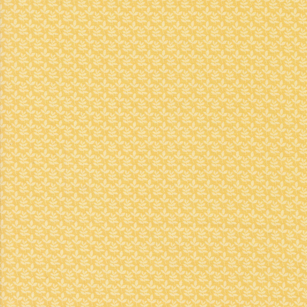 Georgia Quilter's Cotton Layer Cake 42 piece collection of 10 inch squares by Brenda Riddle Designs for Moda
