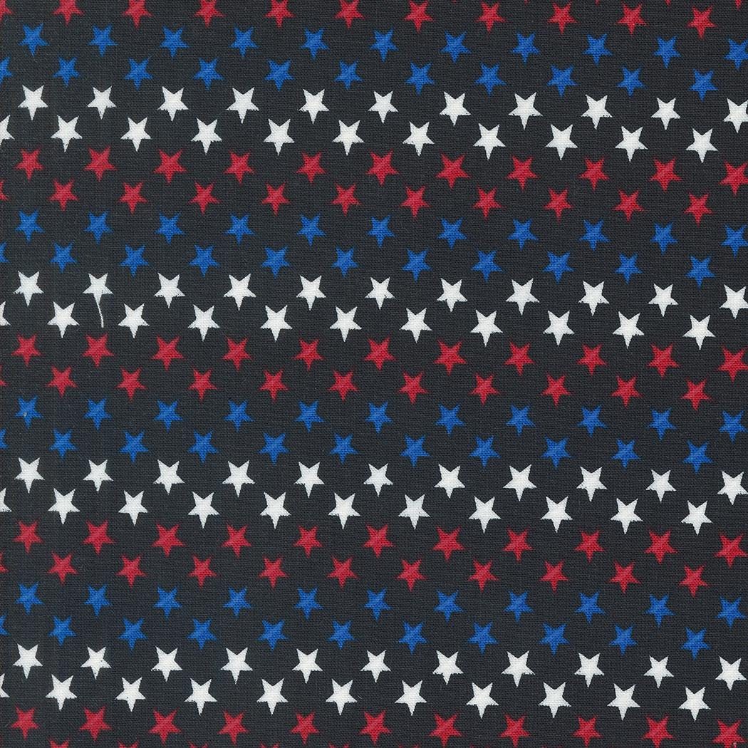 Red White and Bloom Stars in a Row in Black by Deb Strain for Moda continuous cuts of Quilter's Cotton Fabric