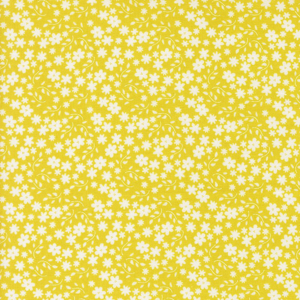 Raspberry Summer by Sherri & Chelsi for Moda Quilter's Cotton Charm Pack of 42 5 x 5 inch squares