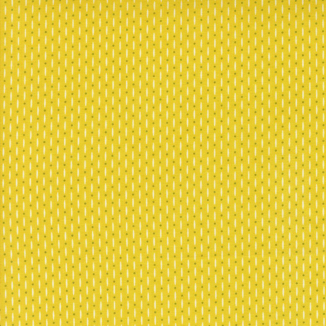 Raspberry Summer by Sherri & Chelsi for Moda Fabrics. Quilter's Cotton Mini Charm Pack of 42 2.5 x 2.5 inch squares