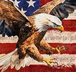 American Eagle Flag Panel from the Patriot collection by QT Fabrics Panel cuts of Quilter's Cotton Fabric