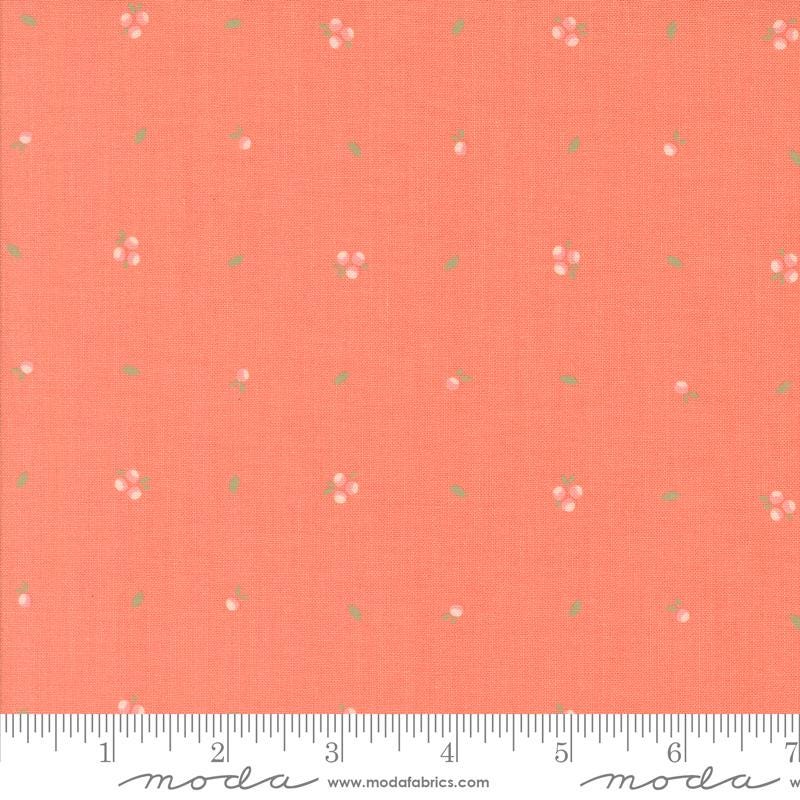 Abloom by Corey Yoder for Moda Quilter's Cotton Charm Pack of 42 5 x 5 inch squares