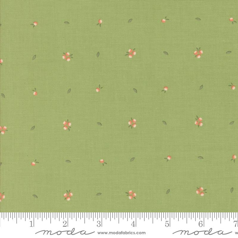 Abloom by Corey Yoder for Moda Quilter's Cotton Charm Pack of 42 5 x 5 inch squares