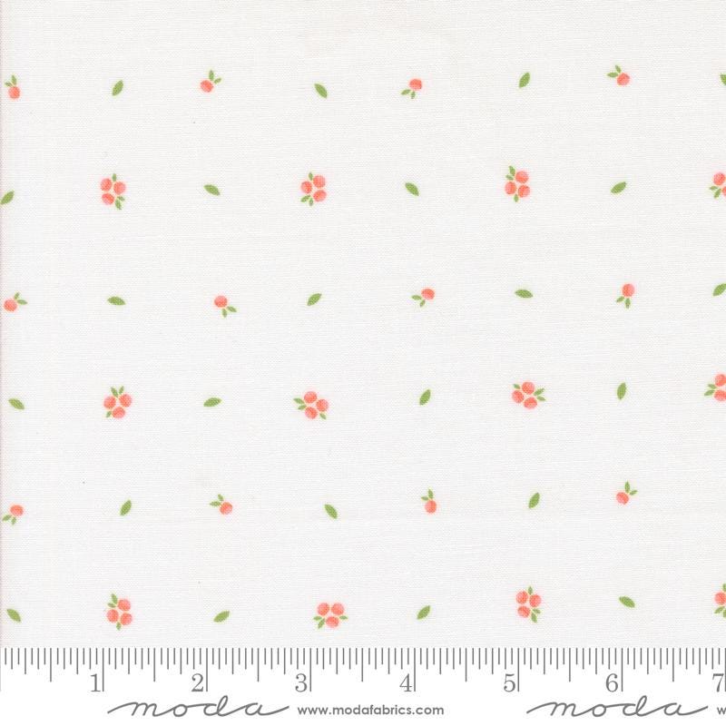 Little Sprout Blenders in Cloud from the Abloom Collection by Corey Yoder for Moda. Continuous cuts of Quilter's Cotton Fabric