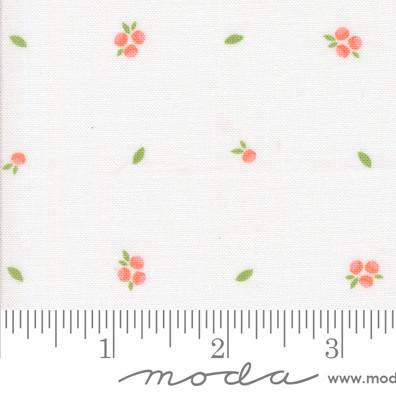 Little Sprout Blenders in Cloud from the Abloom Collection by Corey Yoder for Moda. Continuous cuts of Quilter's Cotton Fabric