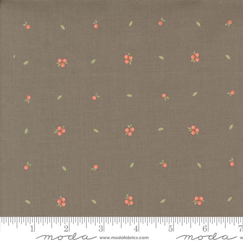 Little Sprout Blenders in Slate from the Abloom Collection by Corey Yoder for Moda. Continuous cuts of Quilter's Cotton Fabric
