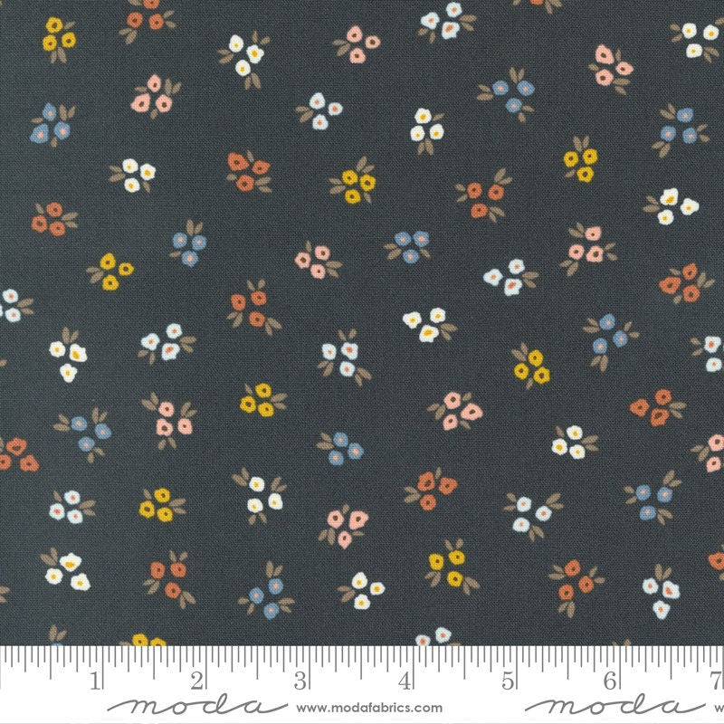 Dawn on the Prairie Sweet Ditsy in Charcoal by Moda continuous cuts of Quilter's Cotton Fabric