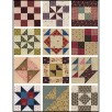Schoolgirl Sampler 80 page soft cover book by Kathleen Tracy for Martingale - That Patchwork Place 72 4 inch blocks & 7 quilt patterns