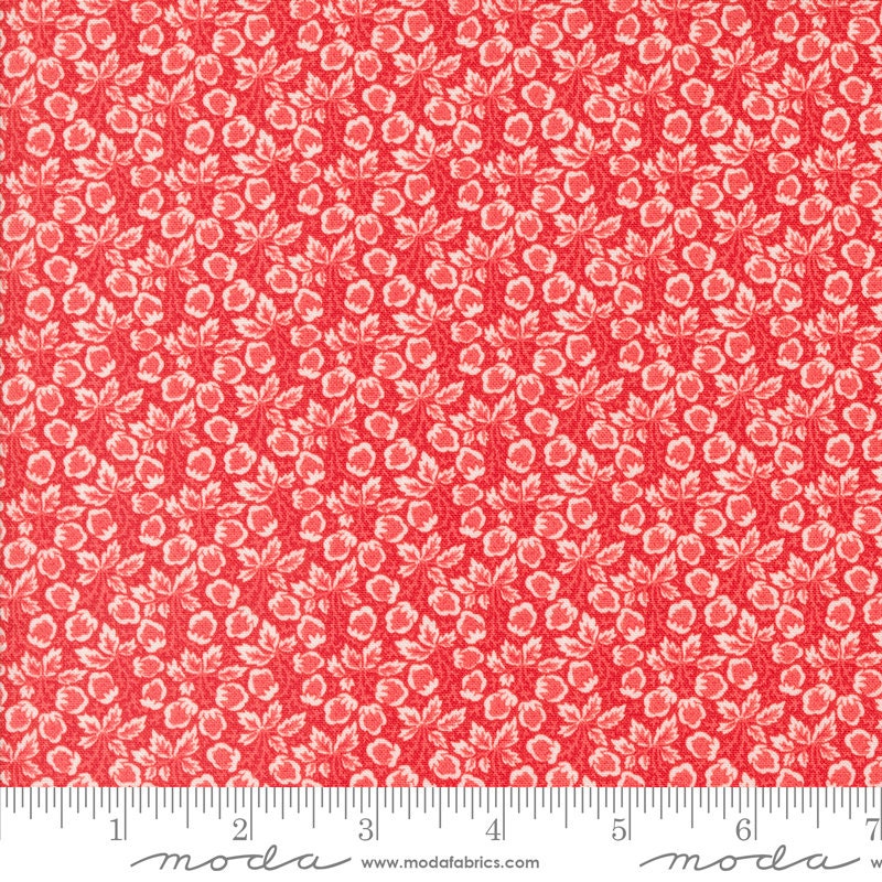 Jelly and Jam Berries Blenders in Strawberry by Fig Tree & Co for Moda Fabrics. Continuous cuts of Quilter's Cotton Fabric