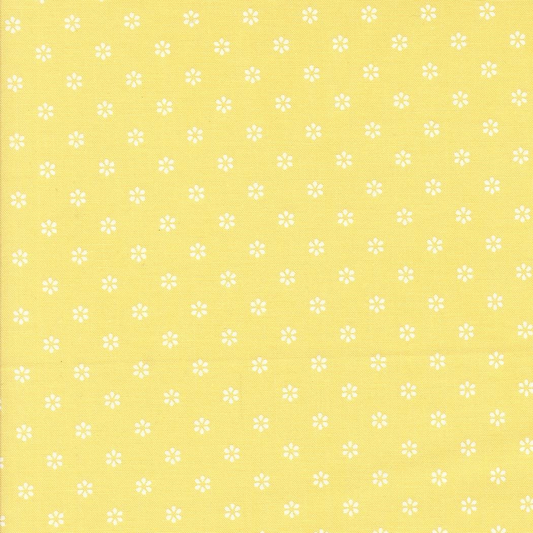 Summertime by Camille Roskelley for Moda Quilter's Cotton Charm Pack of 42 5 x 5 inch squares