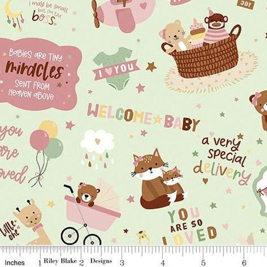 Baby Girl Main Print in Mint by Lori Whitlock for Riley Blake Designs. Continuous Cuts of Quilter's Cotton fabric.