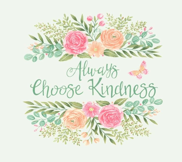 Kindness Panel 24" x 44" Panel by Deb Strain for Moda Quilter's Cotton Fabric Panel