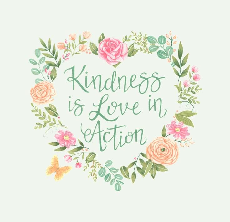 Kindness Panel 24" x 44" Panel by Deb Strain for Moda Quilter's Cotton Fabric Panel