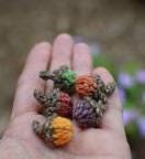 Squirrel & Acorns Knitting Pattern 4 page booklet by NNK Press pattern for knit stuffed squirrel and little acorns