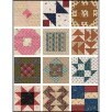 Schoolgirl Sampler 80 page soft cover book by Kathleen Tracy for Martingale - That Patchwork Place 72 4 inch blocks & 7 quilt patterns